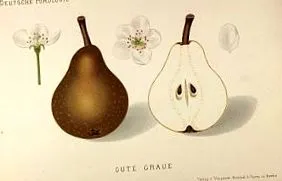 élethez óceán feneke