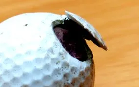 viteza viteza
