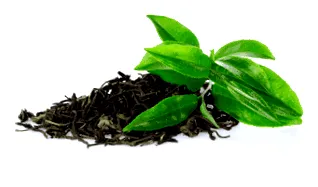 verde extract