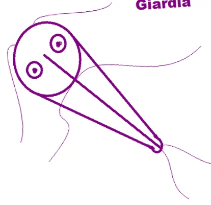csinál