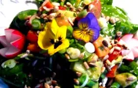 vegán
