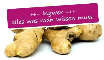tudnod minden