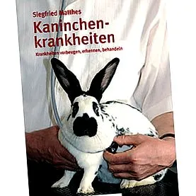 rendeléskor