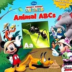 animal