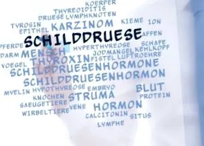 pajzsmirigy