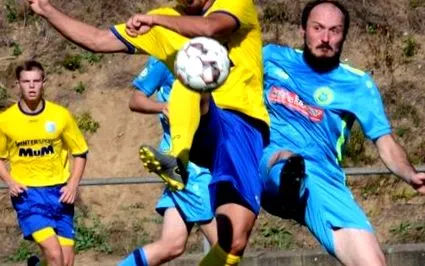 fără fără