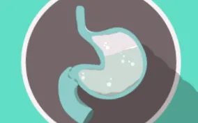 stomac
