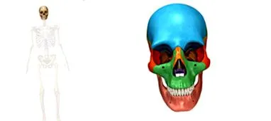 третман