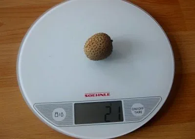 Mennyit nyom litchi