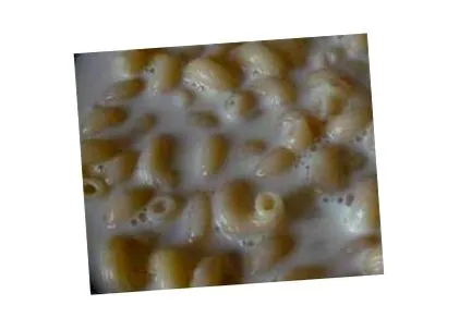 tészta