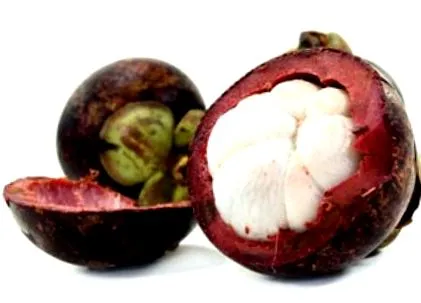 tippek mangosztánhoz