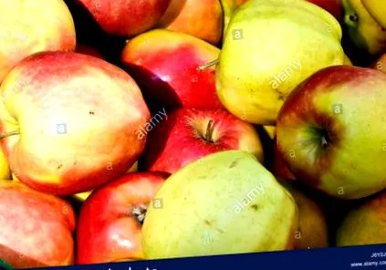fructe