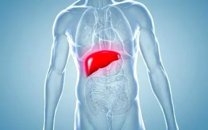 hepatice