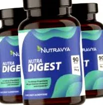 digest