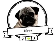 mopsz
