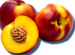 Nectarina este