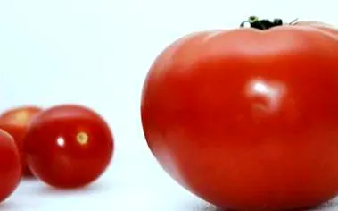 potriviți-vă