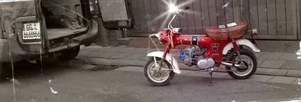 pastă