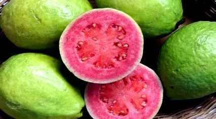 guava