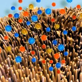 noastre bacteriile