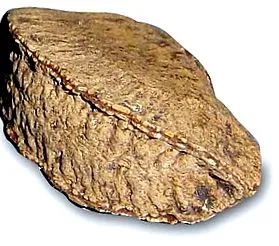исто така