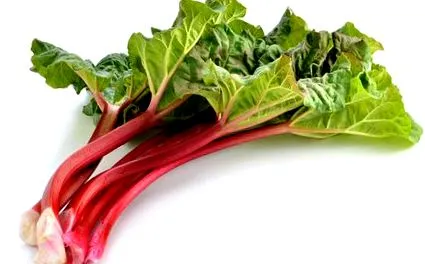 greutate glosar