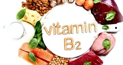 b2-vitamin