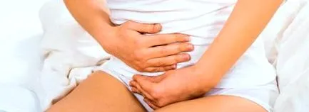 intestinului
