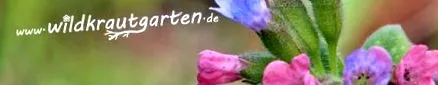 giersch