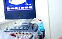 pseudopregnancy câini