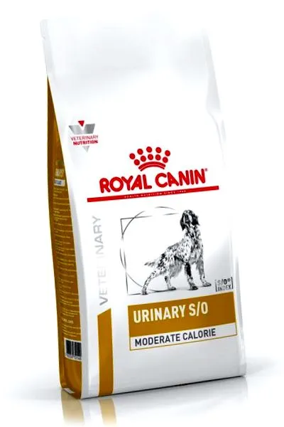 canin