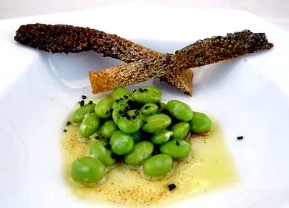 szójabab