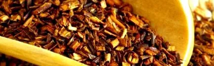 medicină rooibos