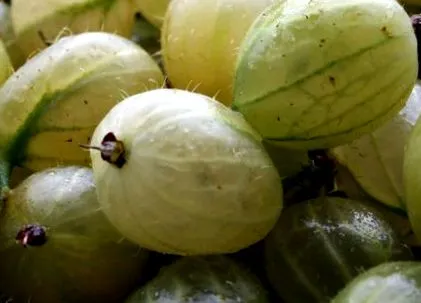 sănătos
