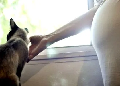 toxoplasmoza