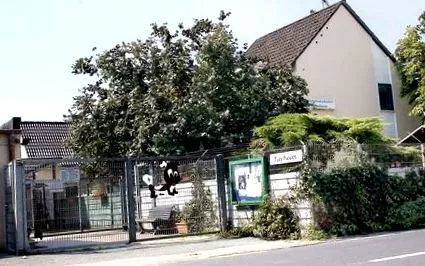 káosz