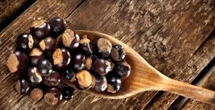 guarana origine