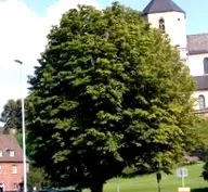 georg-august-universit orvoslás