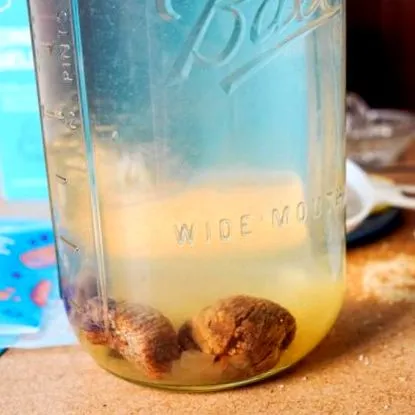 kefir kefir
