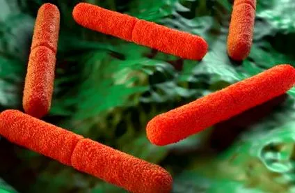 cunoașterea