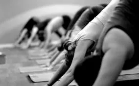 AYI® ASHTANGA