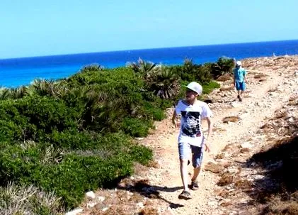 осамената кула