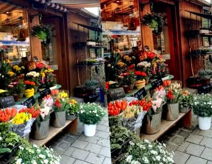 програм редагування фотографій