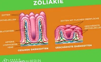 naturheilpraxis