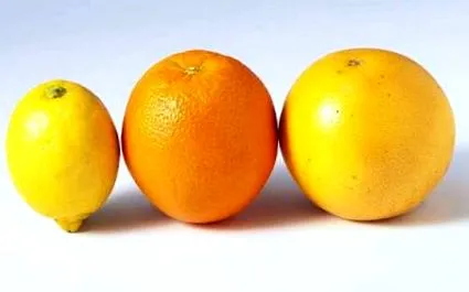 органски производи