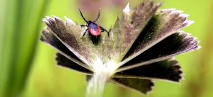 lucrurile