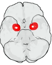 biológia