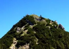 nélkül