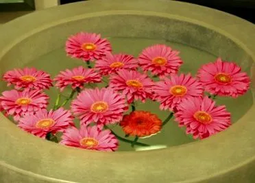Курси релаксації