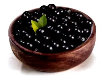 pulbere